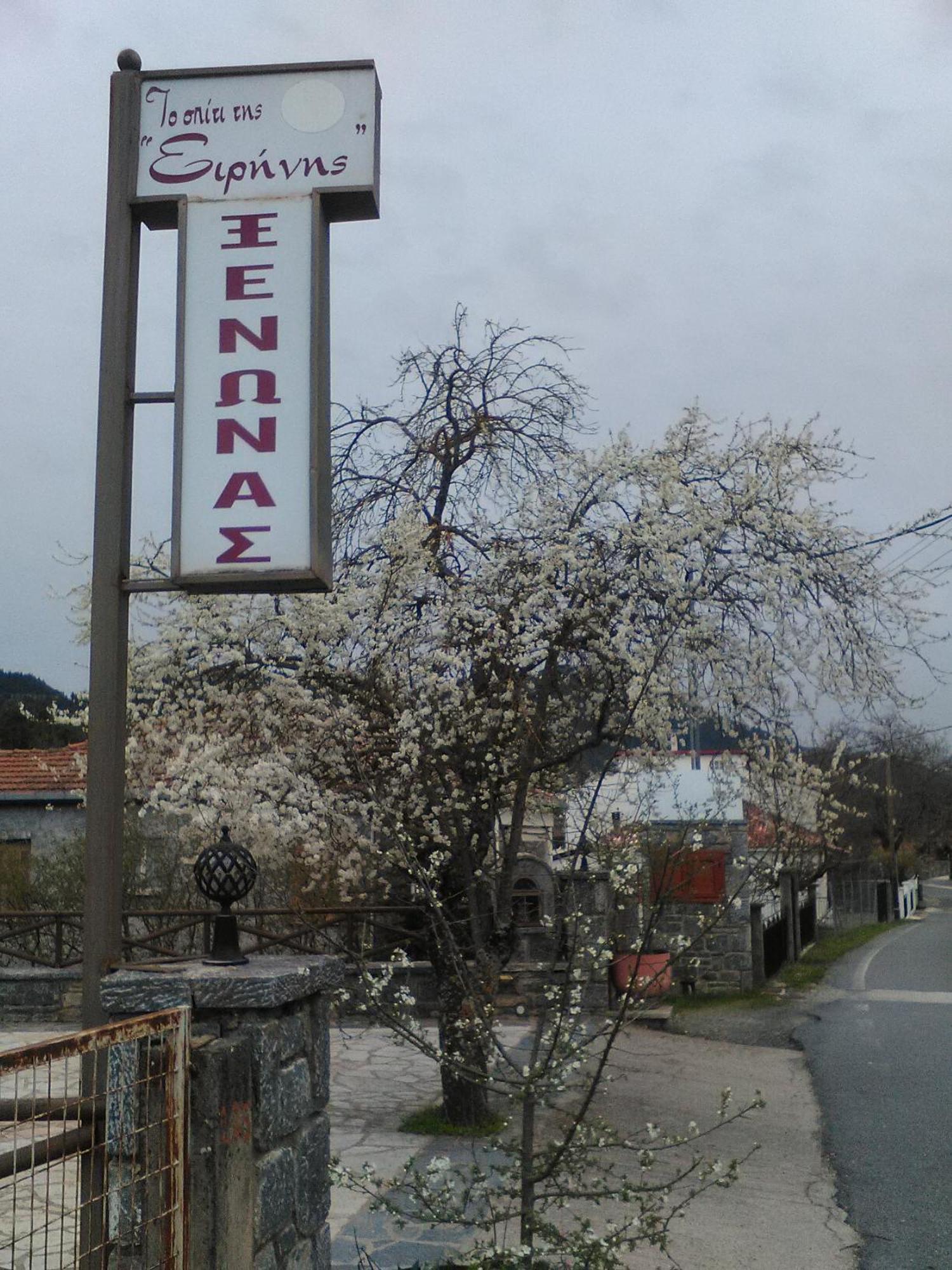 维蒂纳 To Spiti Tis Irinis酒店 外观 照片